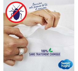 Housse d'oreiller anti-acarien : des nuits paisibles avec la fibre de –  Bambaw