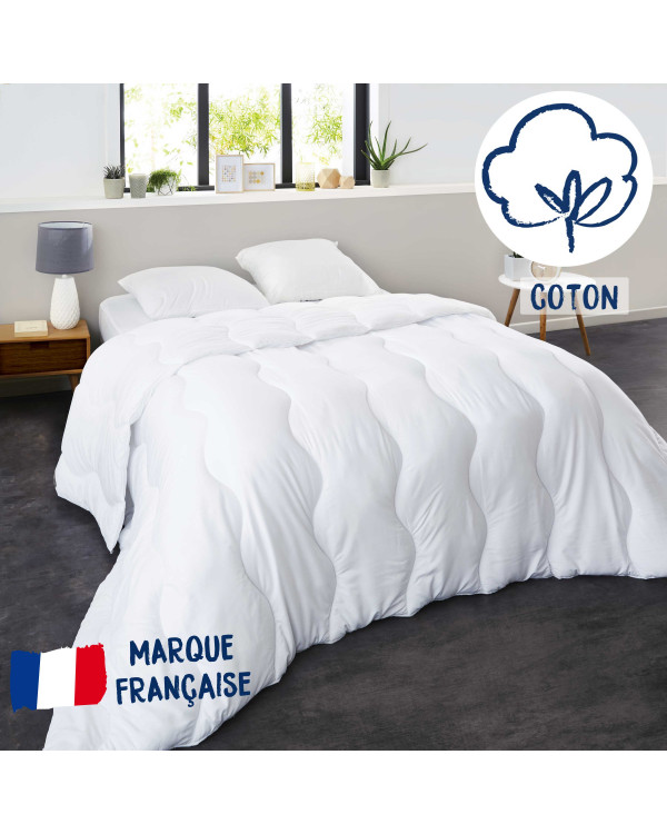 BOtizr Couette 4 Saisons 200x200,éDredon Lit 2 Personnes 200 X 200  Cm,Couette en Duvet d'oie Hotel 200 * 230 Couette Queen en Hiver 220 * 240  Couette